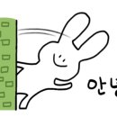 인에이드 이미지