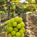 영재농장 이미지