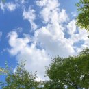 하늘다방 이미지