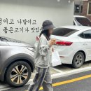 셀리클래식 이미지
