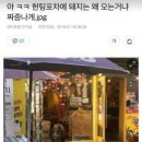 돼지포차 - 김포시 율생로 17 | 돼지포차