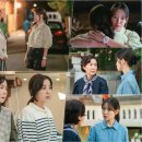 자주마리 이미지