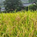 송원농장 이미지