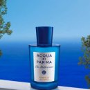 캔들웨이 이미지