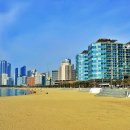 달맞이길 이미지