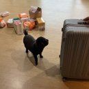 퀸스산부인과의원 이미지