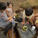 재민목장 이미지