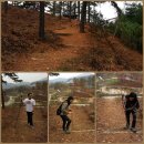 금강자연휴양림 이미지