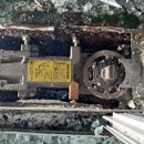 태학여내길 이미지