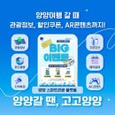 양양플랫폼