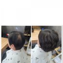 에이스모가발