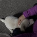 민석농장 2 이미지