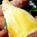 해남농장2 이미지