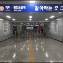주식회사 통로 티스토리
