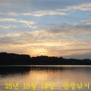 붕어들의 반란! 이미지