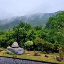 가족·반려견 캠핑 추천｜평창 별내림계곡캠핑장 생생후기 &amp; 꿀팁