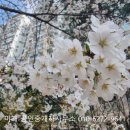 미래앤공인중개사사무소 네이버블로그