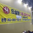 에코해적선 이미지