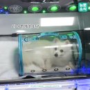 뉴로동물암센터 이미지