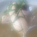 강릉옻닭 이미지