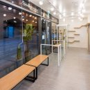 미소로 동물병원 이미지