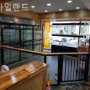 펫아일랜드 이미지