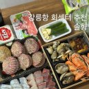 솔향 | 강릉항 회센터 추천 가성비 좋은 횟집 솔향 대방어 포장 후기