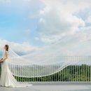 원더월드스튜디오(주) 네이버블로그