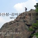 비파산성 Daum카페