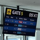 늘푸른25시슈퍼 | 봄 제주도(1) 넉둥베기고사리육개장·홉히·진정성·도두슈퍼마켓·궷물오름·숙성도애월점·카페태희