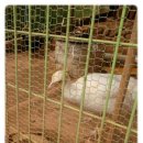 청곡농장 이미지