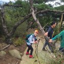 10.01 강화마니산 등산대회(1)⛰️ 이미지