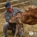 강우농장 이미지