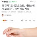 ‘빨간약’ 포비돈요오드, 세포실험서 코로나19 바이러스 사멸 이미지