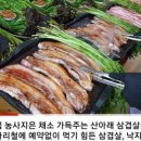 참숯사랑