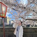 5008 | [공지] 일본의 옛 정취를 간직한 가나자와 자유여행✨ Kanazawa 감성여행지 코스추천