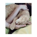 이장원농장 이미지