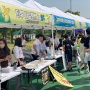 조종생활체육공원 이미지