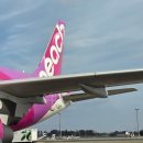 피치짐 | 나리타(NRT)-치토세(CTS) 피치항공 MM573 후기