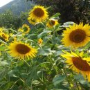 c&s 골프존 이미지