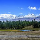 나란히 흐르다 이미지