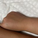 강원도 횡성군 횡성읍 횡성로 이미지