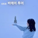 크리스마스나무 | 폭설 속 삿포로 비에이 투어 후기 &amp; 크리스마스나무 흰수염폭포 비에이역 사계의탑 다이마루 with 여행...