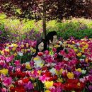 산본생선가 이미지