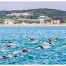 주식회사 수영사랑 이미지