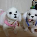 아람이네 이미지