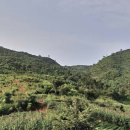 오리산성 이미지