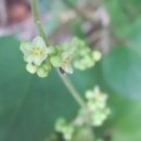 대가식당 이미지