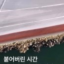 선박 정비, 따개비만 제대로 제거해도 이 정도?