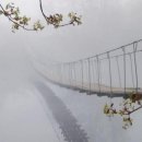 사진과포토샵 이미지